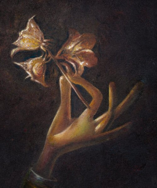 Elegancijos dalintojas