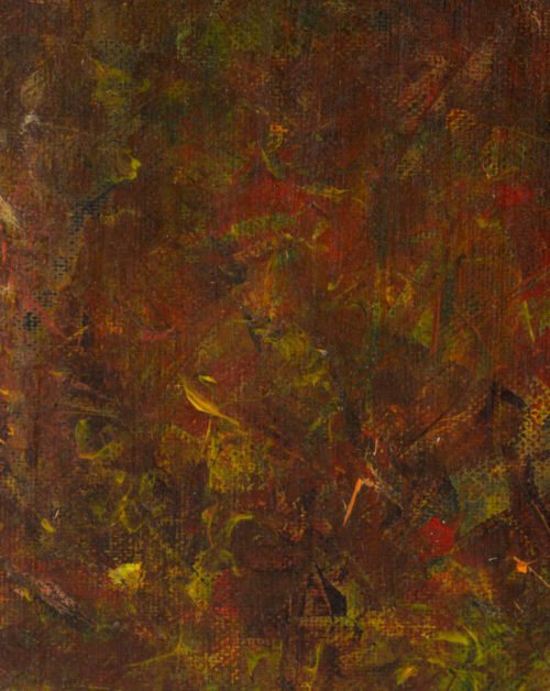 Prisijaukinusi svajonę