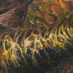 Visa širdimi tikėsiu ir kaip kūdikį mylėsiu